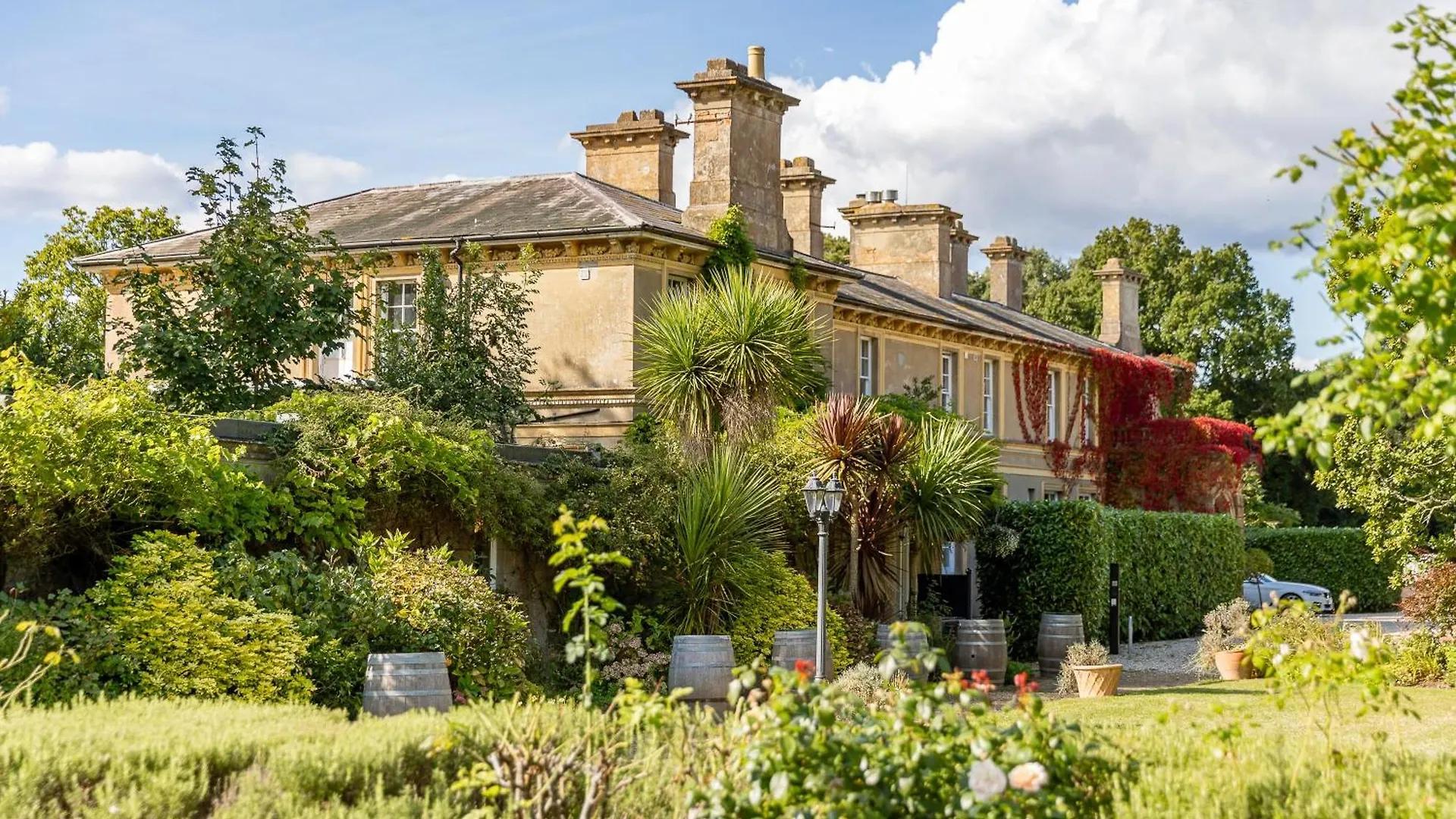 4 Smart Budget Hotels Near Butterfly World Worth Booking