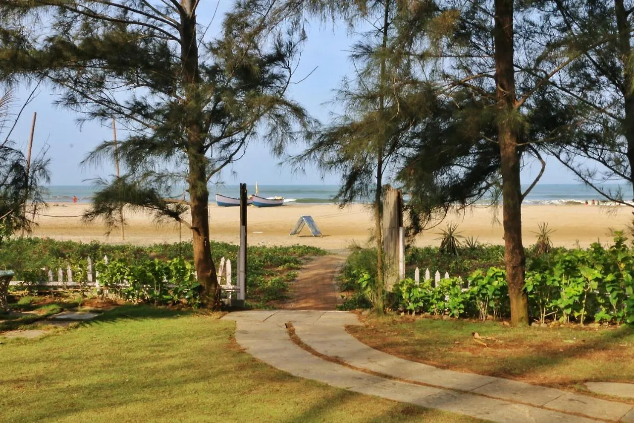 4 Family-Friendly Hotels in Morjim Beach Worth Booking