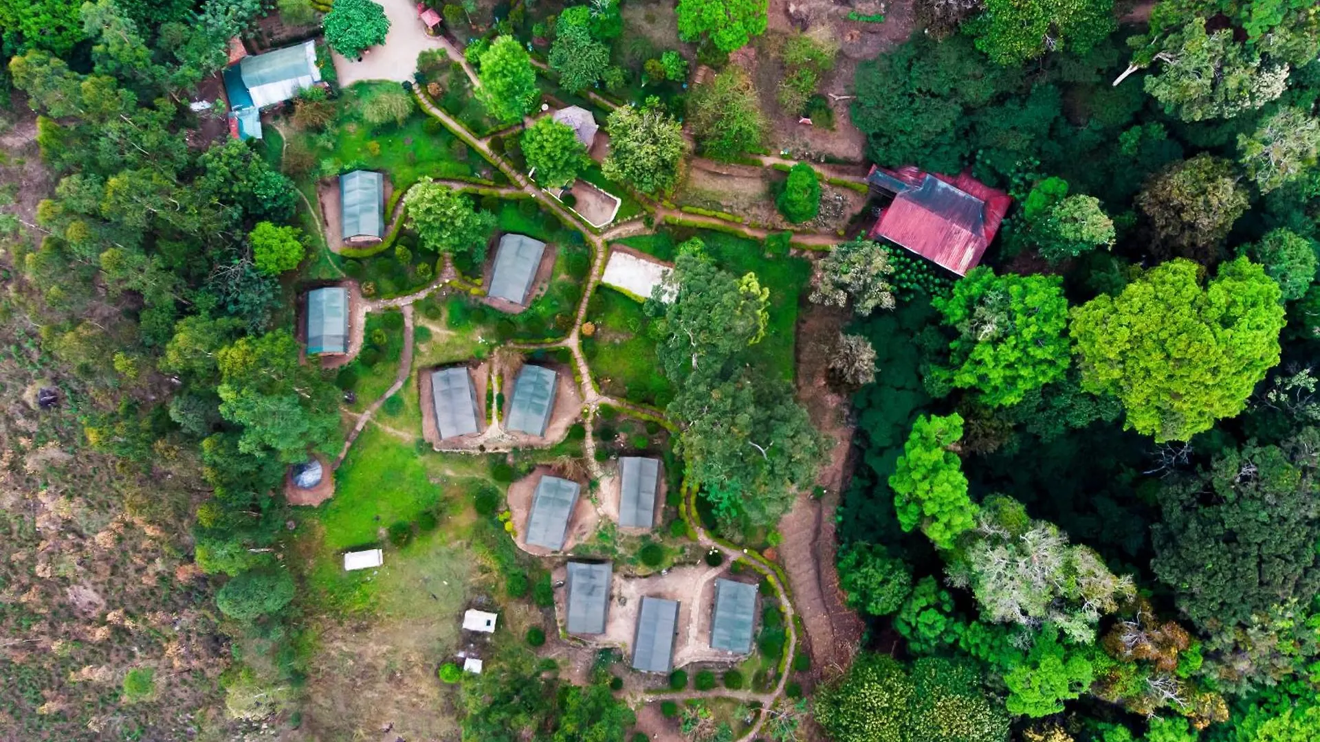 Where to Stay Near Mattupetty Dam: 9 Best 4-Star Hotels