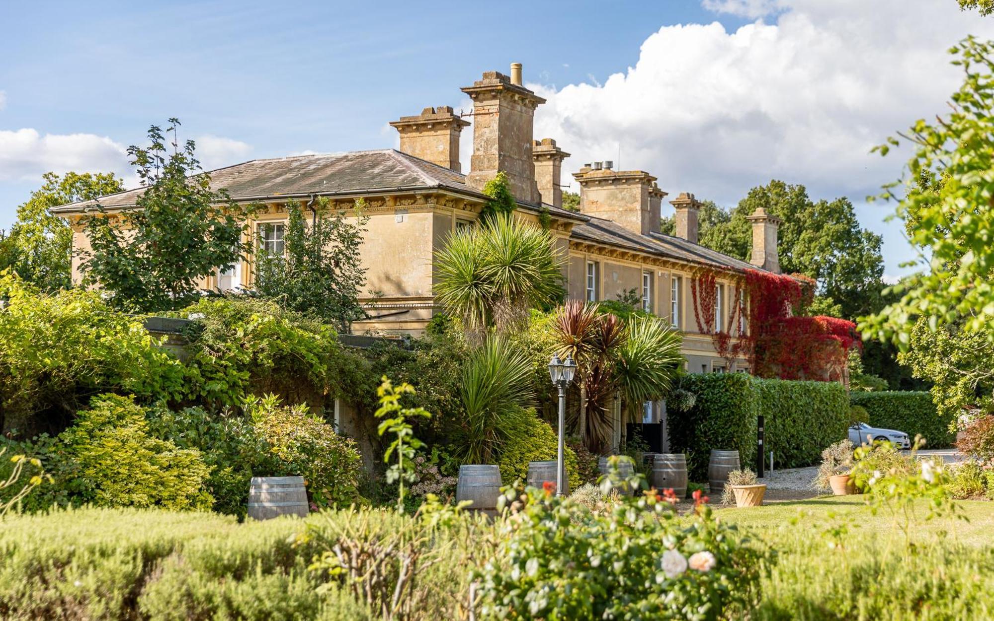 4 Smart Budget Hotels Near Butterfly World Worth Booking