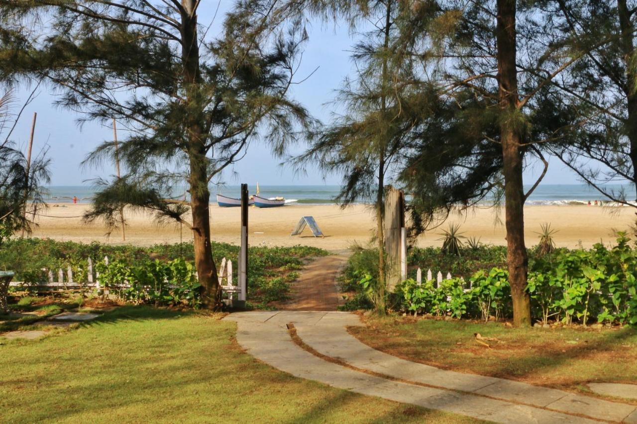 4 Family-Friendly Hotels in Morjim Beach Worth Booking