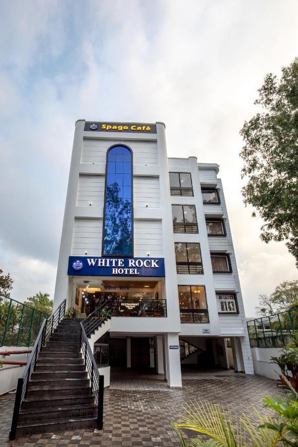 10 Business Hotels Near Forest Research Institute Worth Booking