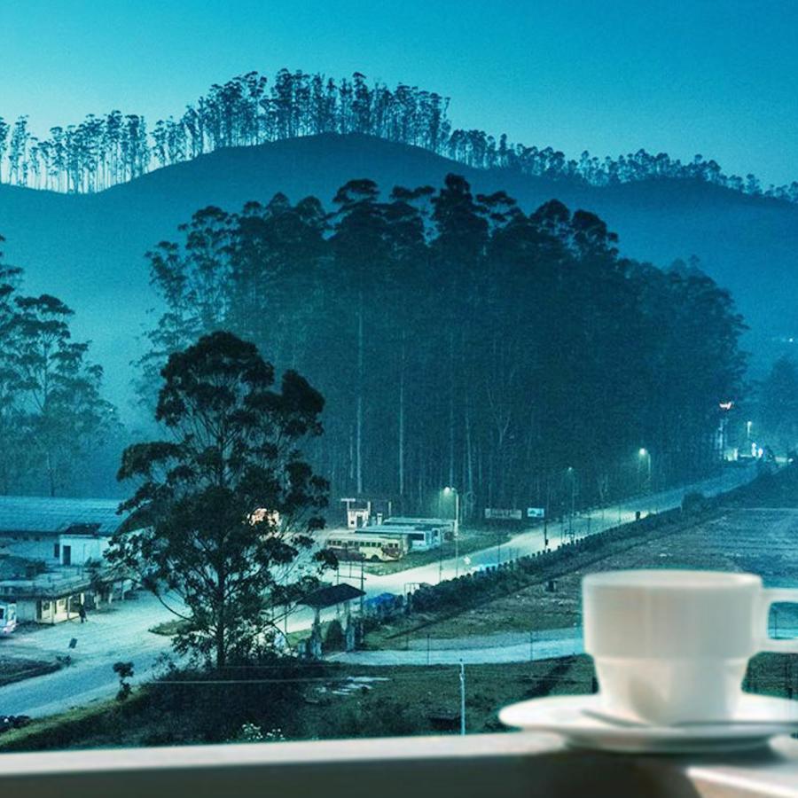 Staying Near Mattupetty Dam: 5 Business Hotels Compared