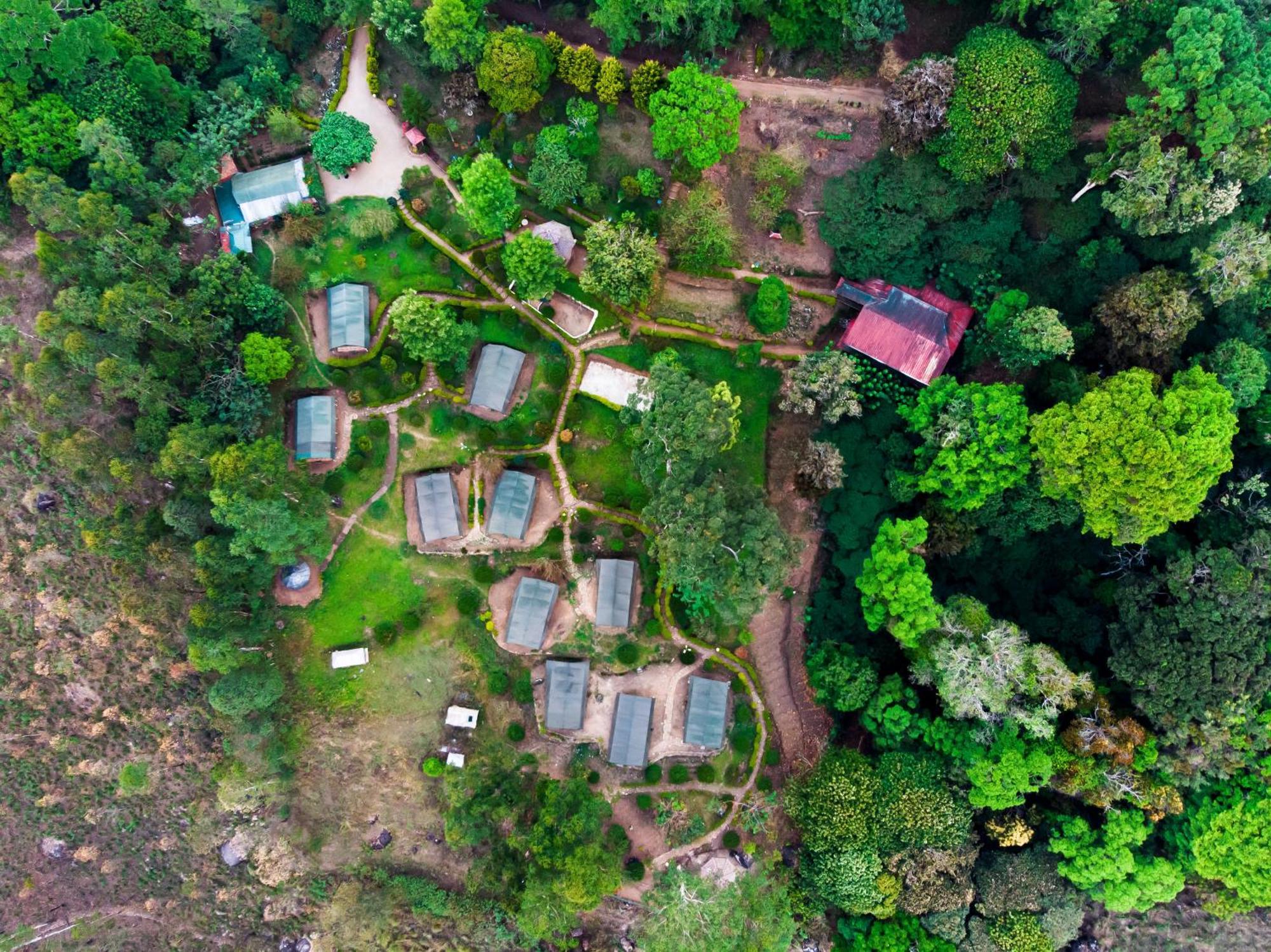 Where to Stay Near Mattupetty Dam: 9 Best 4-Star Hotels